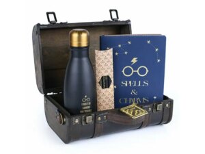 Pyramid International Harry Potter (Trouble FInds Me) Premium Gift Set (045156)