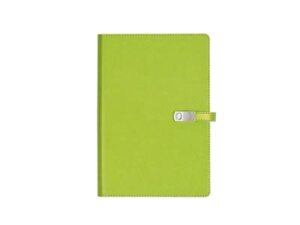 ALICANTE Notes sa magnetnim preklopom A5 Apple green