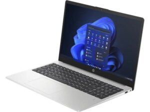 HP 255 G10 (Turbo silver) FHD IPS