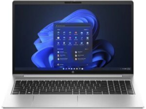 HP ProBook 450 G10 (Pike silver) FHD IPS