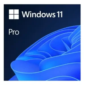 Microsoft Windows 11 Pro 64bit Eng Intl OEI DVD (FQC-10529) 18