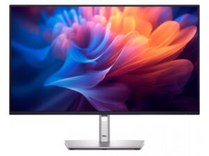 DELL P2725HE IPS FHD 100Hz USB Type-C 18