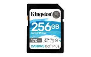 SD Card 256GB Kingston SDG3/256GB class 10 170Mbs/90MBs A2 18