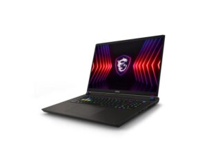 MSI Vector 17 HX A14VHG-893RS (QHD+ IPS 240Hz, i9-14900HX, 32GB, 1TB SSD, RTX 4080 12GB, Win 11 Pro) 18