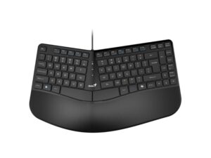 GENIUS Ergo KB-700 USB US crna tastatura 18