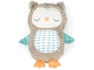 Ingenuity Plišana igračka za bebe Nally The Owl (SKU12477) 18