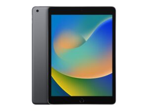 APPLE IPad 9th Gen 10.2 inch A13 WiFi 256GB Space Gray (fk2n3ll/a) 18