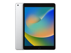 APPLE IPad 9th Gen 10.2 inch A13 WiFi 256GB Silver (fk2p3ll/a) 18