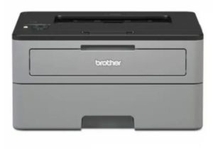 Printer Brother HL-L2350DW 18