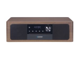 BLAUPUNKT MS22BT Mikro linija