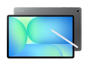 SAMSUNG Galaxy Tab S10 FE+ GRAY 12GB/256GB (SM-X620NZAPEUC)