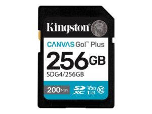 KINGSTON 256GB Canvas Go! Plus (SDG4/256GB)