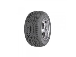 Sava 205/55 R16 Eskimo S3+ 91T