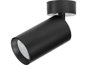 RABALUX Yorli 73081 spot svetiljka