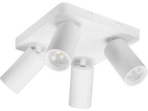 RABALUX Yorli 73088 spot svetiljka