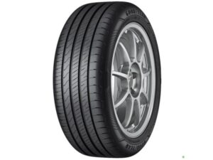 Goodyear 205/55R19 97V EfficientGrip Performance 2 XL letnja 19