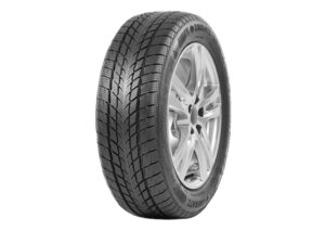 DAVANTI 215/70R15C 109/107S Wintoura Van zimska