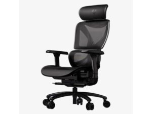 THUNDERX3 XTC-Mesh Ergonomska stolica crna