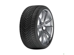 RIKEN 225/45R17 94V SNOW MS zim