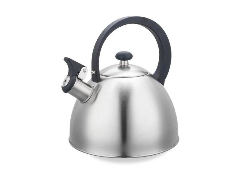 MAESTRO MR1302 Čajnik sa zviždukom 2.5l inox