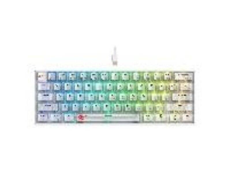 Havit Tastatura KB903L plavo-bela