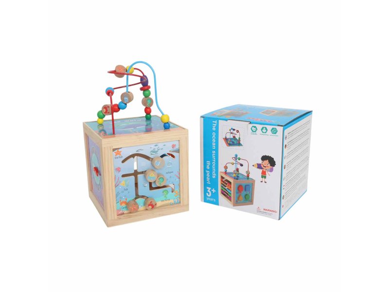 Denis Didaktička kocka