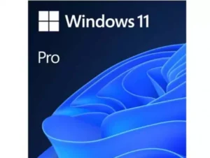 Microsoft Windows 11 Pro 64bit Eng Intl OEM DSP DVD FQC-10528 (24H2)