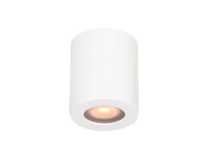 BBLINK Plafonska lampa 1xGU10 bela IP65