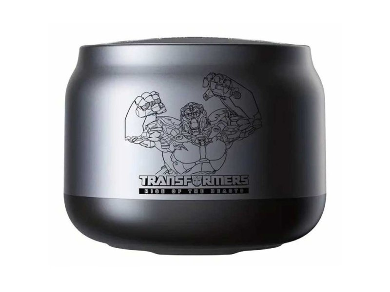 TRANSFORMERS Zvučnik Portable TF-Y01