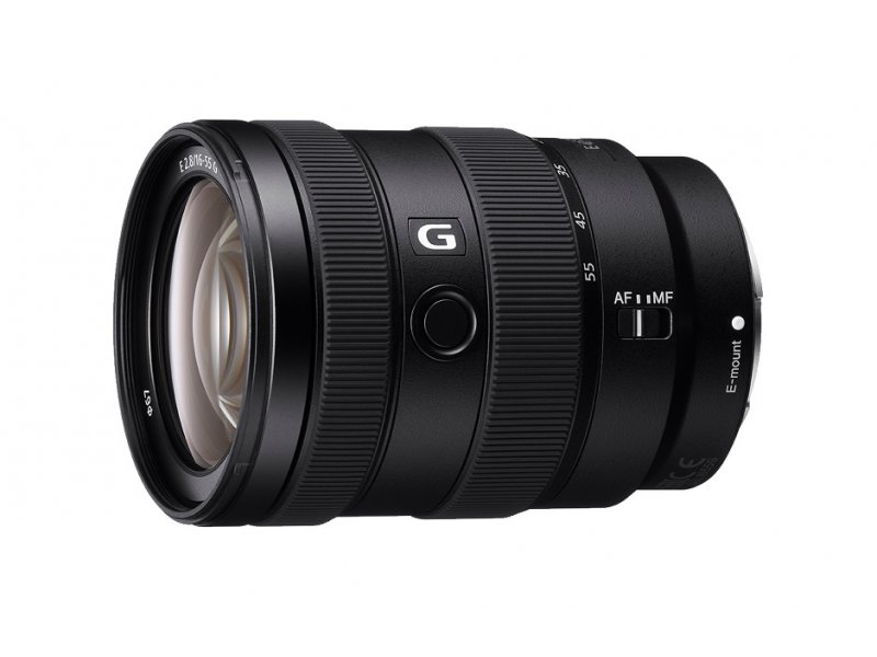 SONY SEL 16-55mm F2.8 G (crop)