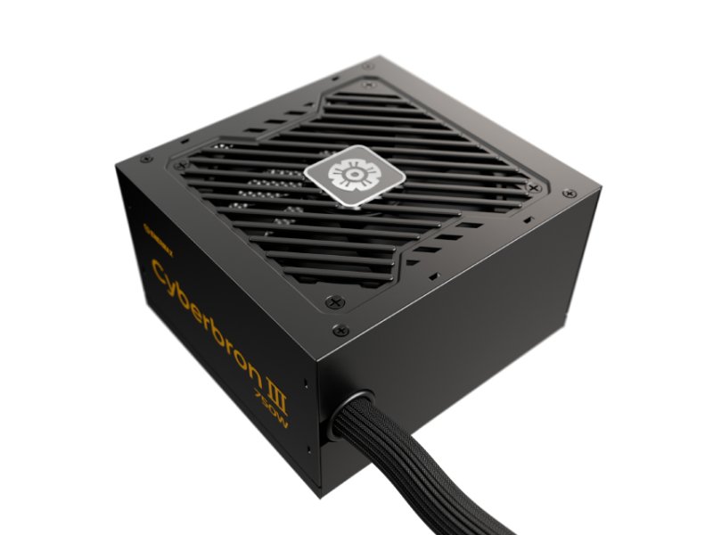 ENERMAX ENERMAX EMB750EWT-NAC CYBERBRON III 750W Bronze napajanje