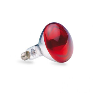 SIJALICA INFRA RED R125 250W E27 (CRVENA) ELF4835