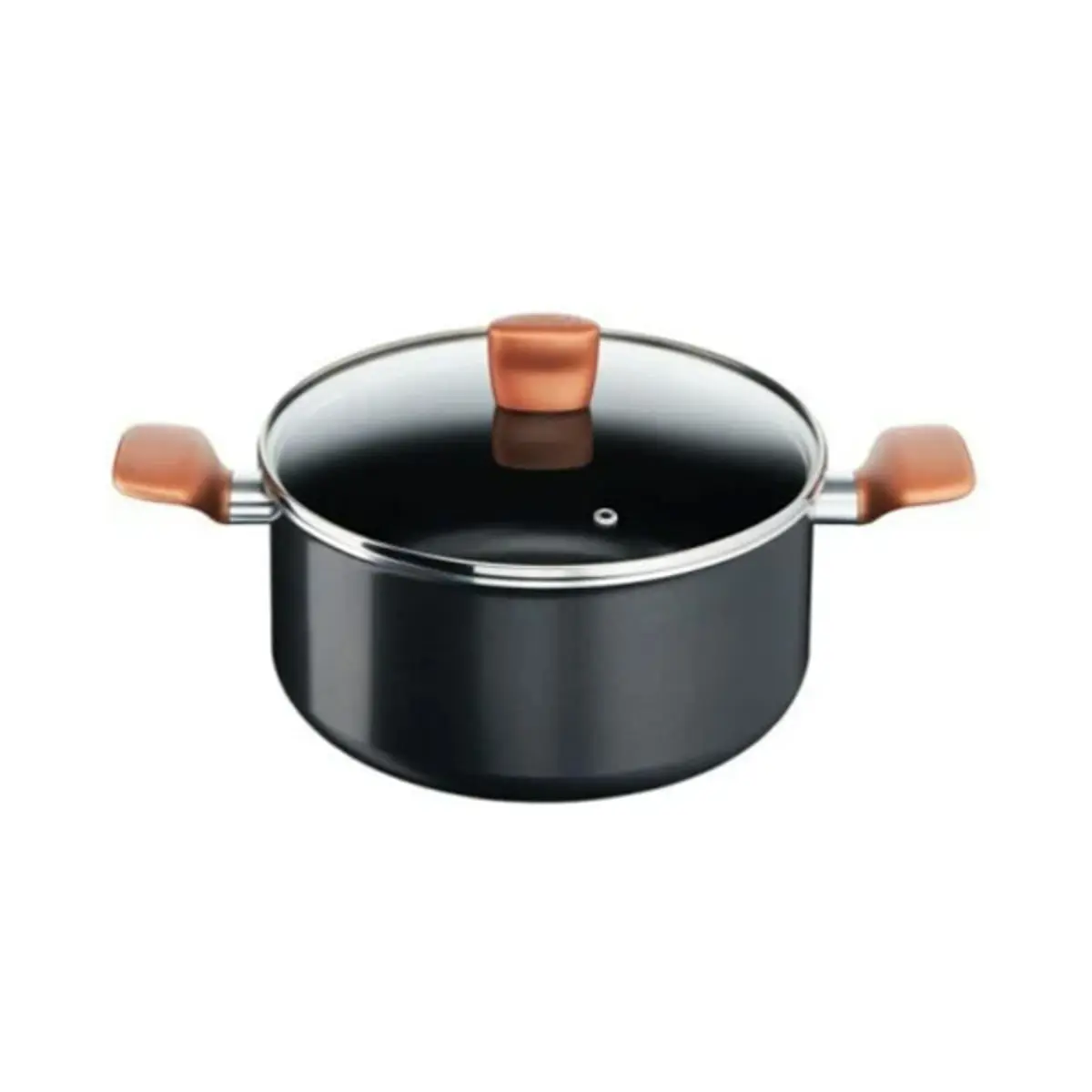 TEFAL Tefal Lonac Express sa poklopcem 24 cm – B2554602
