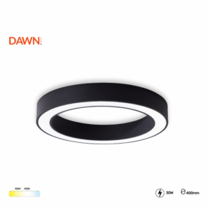 VESTA 679 PLAFONSKA SVETILJKA 30W 3000/4000K CRNA