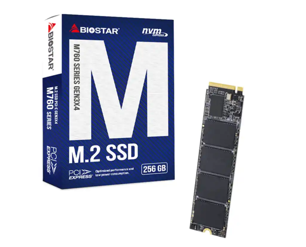 SSD M.2 NVME 256GB Biostar 2800MBs/1150MBs M760