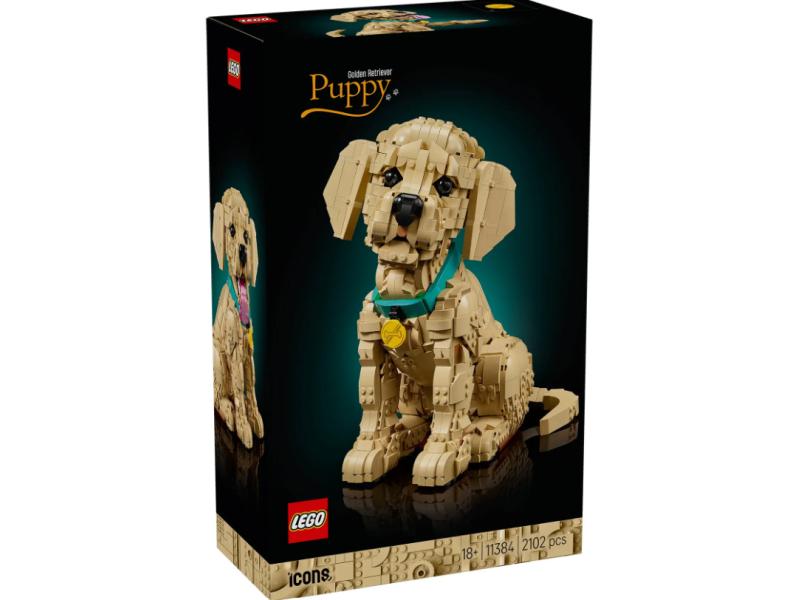 LEGO Štene zlatnog rеtrivera ( 11384 )