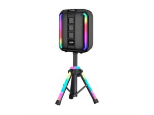 MS MOBILE NDR-102A 40W 12'' Bluetooth zvučnik sa mikrofonom i stalkom crni