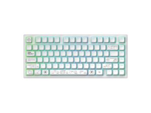 Dark Project ALU Terra Nova R2 White - Wireless Gaming Keyboard (ANSI)