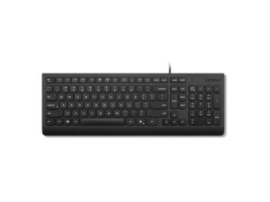 LENOVO Tastatura žičana Essential YU (4Y41R64673)
