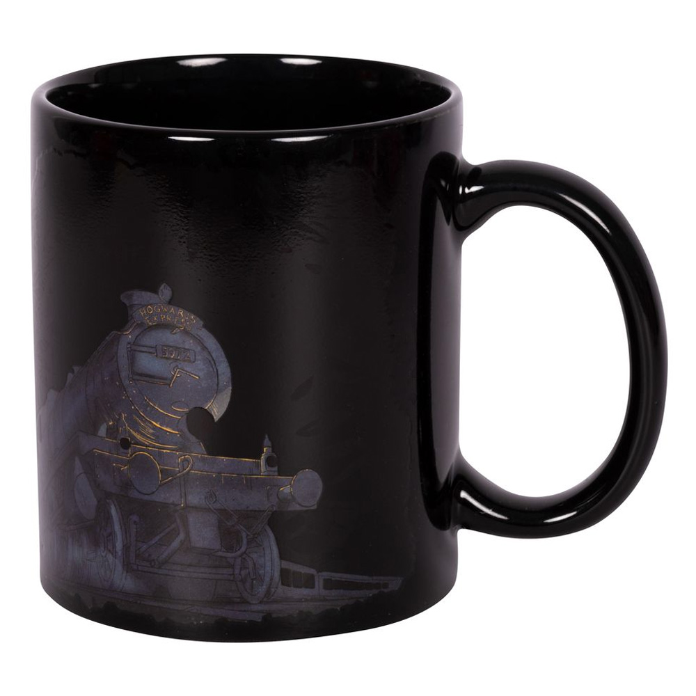 Harry Potter – Glimmer Of Hope Heat Change Mug