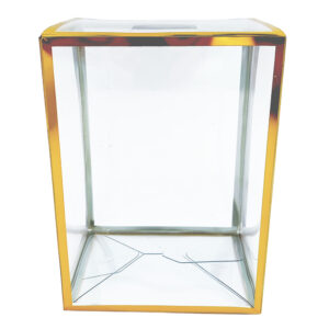 Clear Gold Version 4'' Pop Protector With Film On It With Soft Crease Line And Automatic Bot Lock