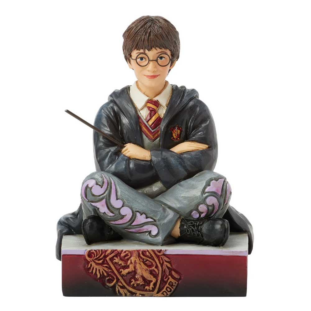 Harry Potter – The Chosen One – Harry Personality Pose