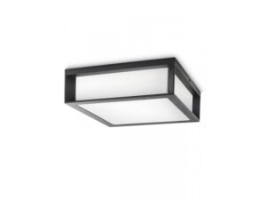 PHILIPS PH066 spoljašnja zidna - plafonska svetiljka Skies max 2x42W 230V antracit