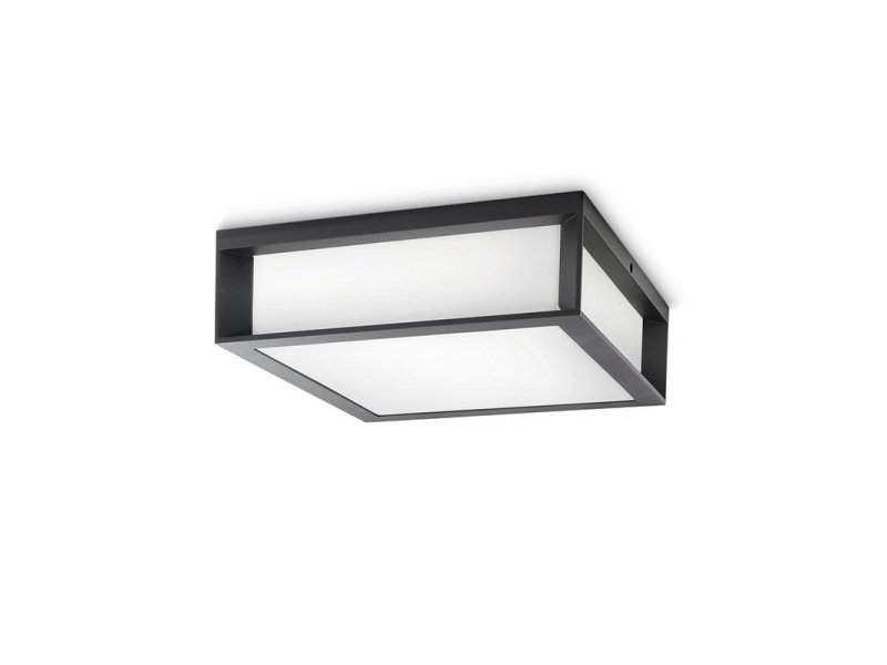 PHILIPS PH066 spoljašnja zidna – plafonska svetiljka Skies max 2x42W 230V antracit
