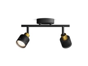 PHILIPS Spot svetiljka Niall GU10 2 x 5W