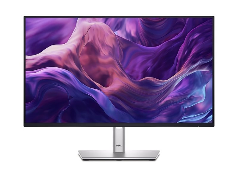 DELL P2425H IPS FHD 100Hz USB-C OUTLET