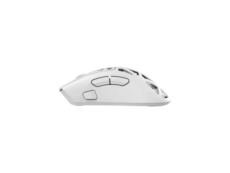 WHITE SHARK MIŠ WGM 5025 MORIEN Wireless Mouse White
