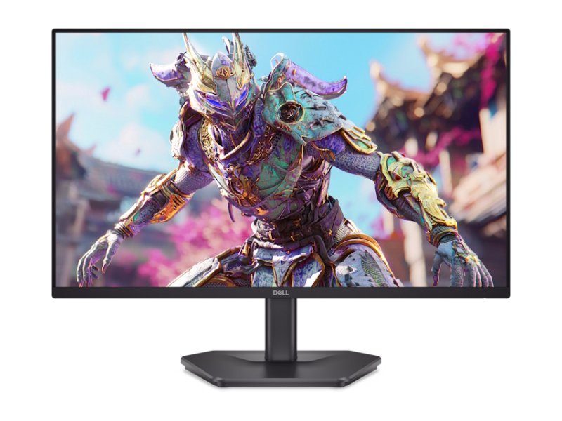 DELL SE2426HG IPS 240Hz FreeSync OUTLET