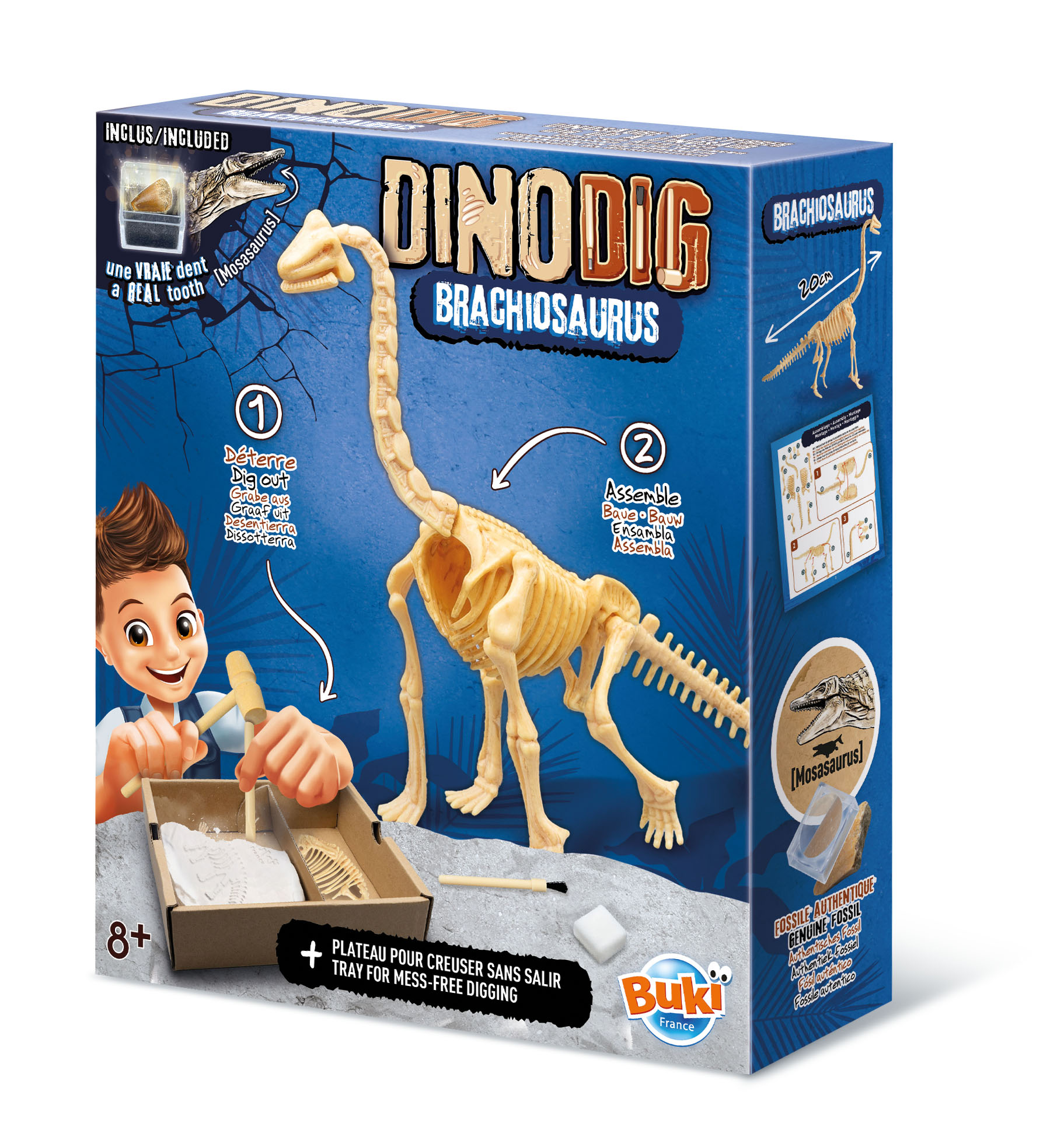 Dino iskopina 105961 Buki
