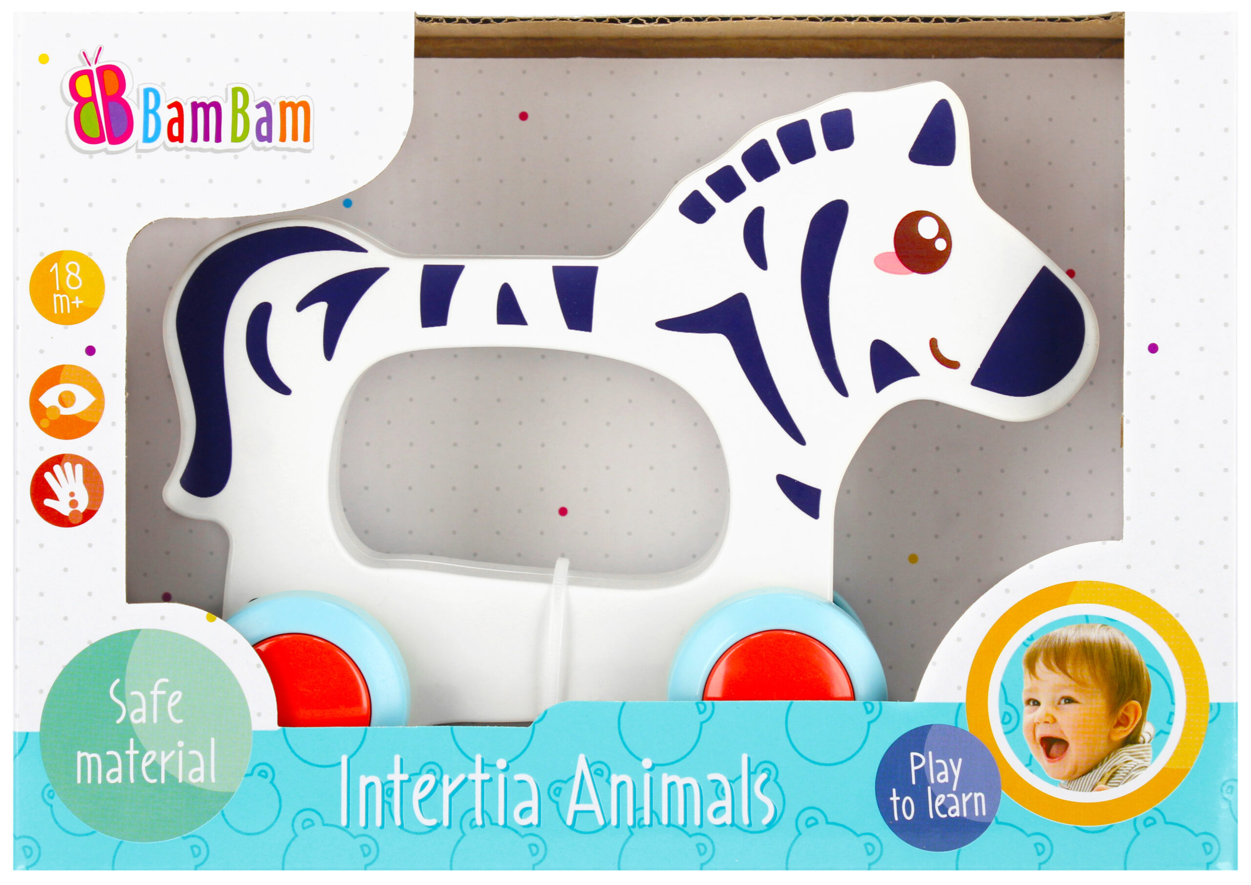 Zebra 607989-P